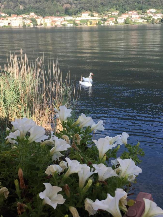 La Casa Dei Cigni Sul Lago D'Orta オメーニャ エクステリア 写真